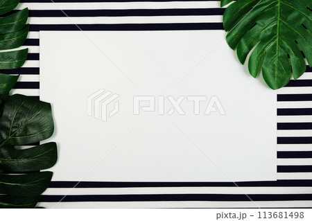 tropical leaves monstera and space copy on blue background tropical leaves monstera and space copy on blue background 113681498