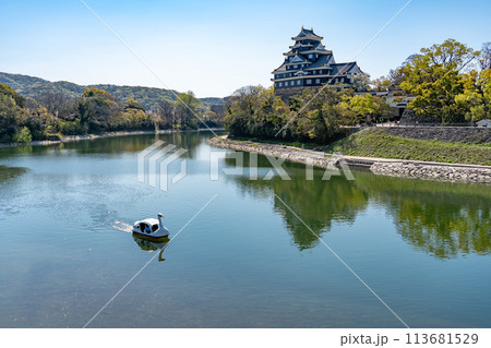 岡山県 お堀側から見た岡山城と白鳥ボート 岡山県 お堀側から見た岡山城と白鳥ボート 113681529