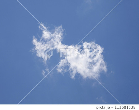 青空にわた雲ひとつ 113681539