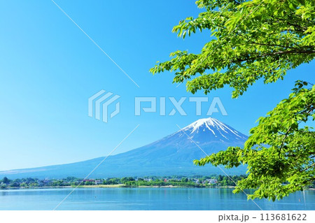 初夏の青空と新緑の風景　そして富士山 113681622