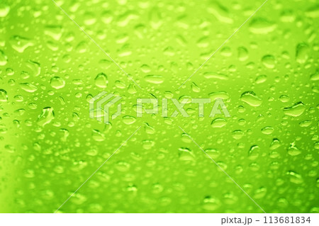 water drops on green background 113681834