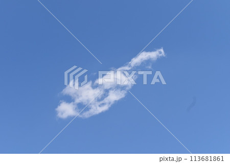 空に浮かぶ白い雲 113681861