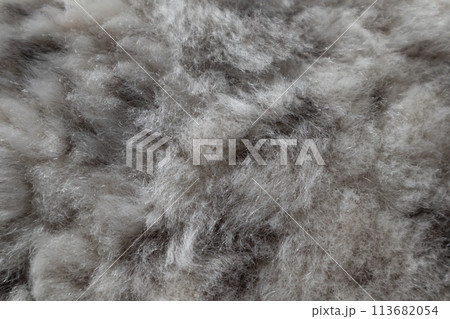 The texture of the lamb's fur is in light colors with spots. Background. The texture of the lamb's fur is in light colors with spots. Background. 113682054
