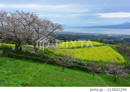 白木峰高原 113682294