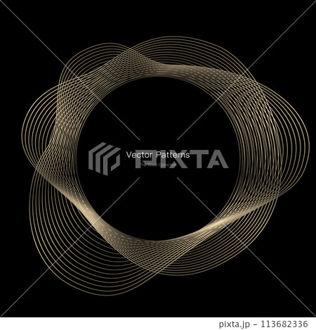 円のラグジュアリーなフレームデザイン 113682336