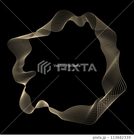 円のラグジュアリーなフレームデザイン 113682339
