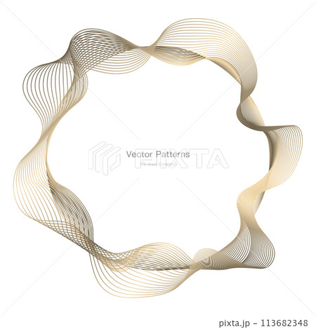 円のラグジュアリーなフレームデザイン 113682348