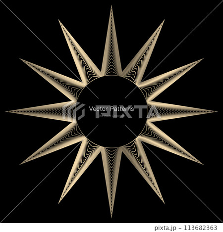 円のラグジュアリーなフレームデザイン 113682363