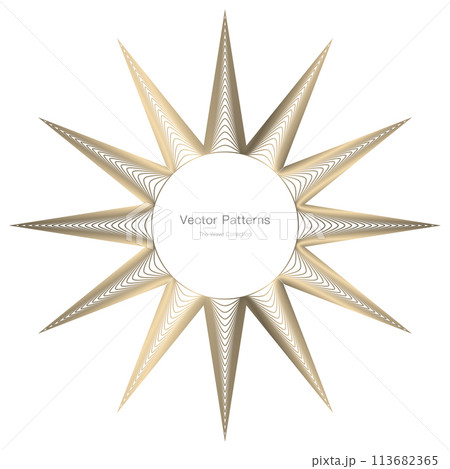 円のラグジュアリーなフレームデザイン 113682365