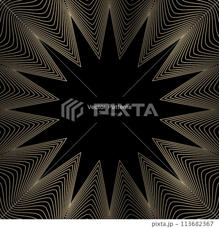 円のラグジュアリーなフレームデザイン 113682367