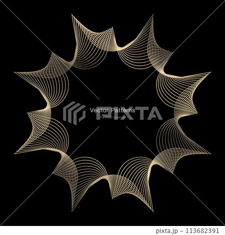 円のラグジュアリーなフレームデザイン 113682391