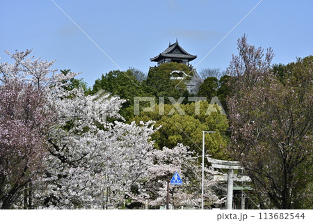 国宝犬山城 113682544