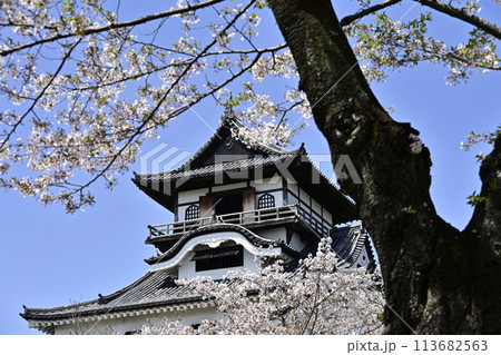 国宝犬山城 国宝犬山城 113682563