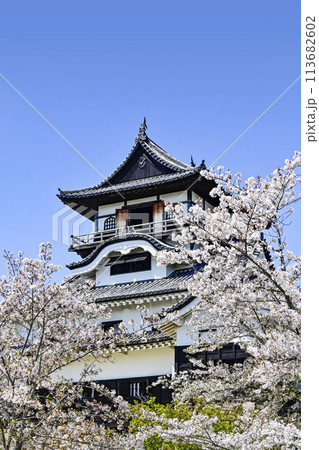 国宝犬山城 国宝犬山城 113682602