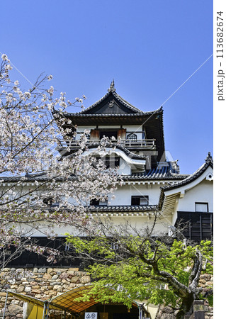 国宝犬山城 113682674