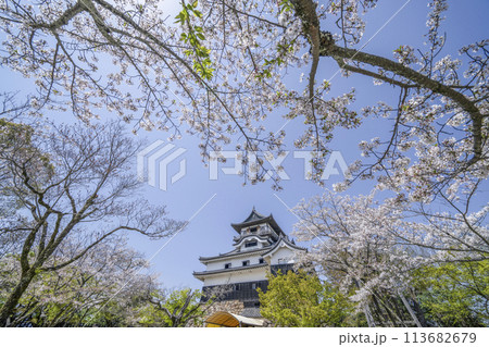 国宝犬山城 113682679
