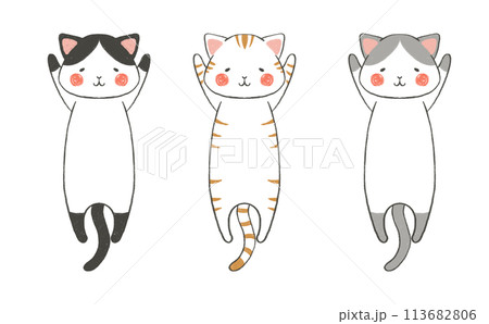 万歳する猫のコレクション 113682806