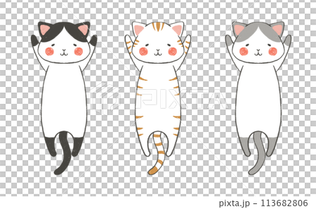 万歳する猫のコレクション 113682806