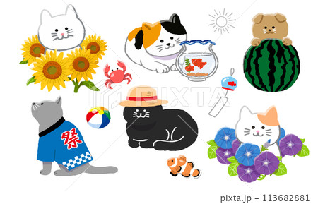 夏の猫のイラストセット 113682881