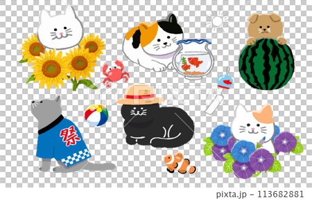 Summer cat illustration set Summer cat illustration set 113682881