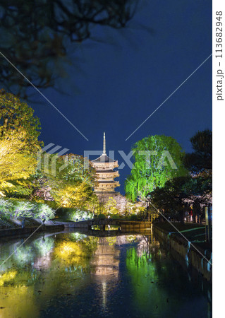 東寺　夜桜ライトアップ　リフレクション 113682948