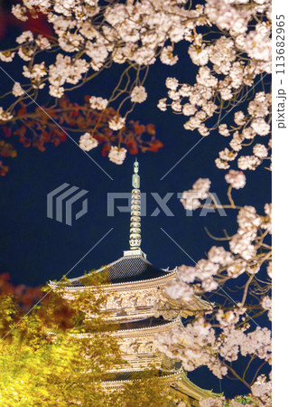 春の京都 東寺 夜桜ライトアップ 春の京都 東寺 夜桜ライトアップ 113682965