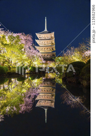 春の京都 東寺 夜桜ライトアップ 春の京都 東寺 夜桜ライトアップ 113682966