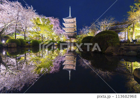春の京都 東寺 夜桜ライトアップ 春の京都 東寺 夜桜ライトアップ 113682968