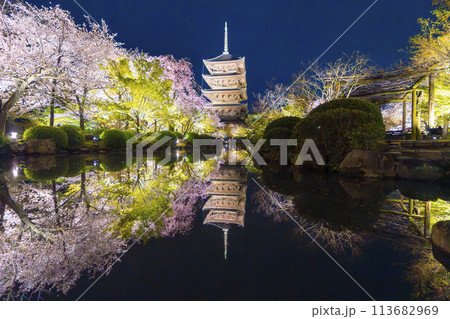 春の京都 東寺 夜桜ライトアップ 春の京都 東寺 夜桜ライトアップ 113682969