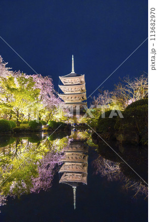 春の京都 東寺 夜桜ライトアップ 春の京都 東寺 夜桜ライトアップ 113682970
