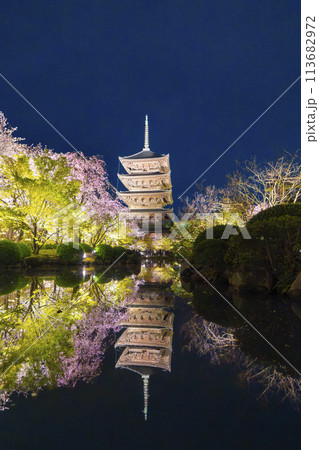 春の京都 東寺 夜桜ライトアップ 春の京都 東寺 夜桜ライトアップ 113682972