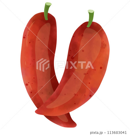 Watercolor painting of red chili 113683041