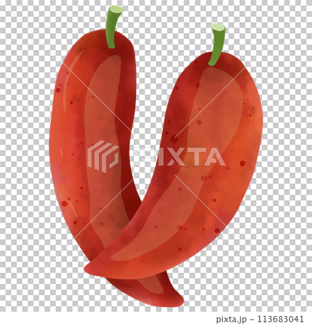 Watercolor painting of red chili 113683041