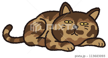 サビ猫が寝そべってくつろいでします。 113683093