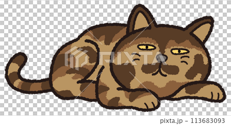 サビ猫が寝そべってくつろいでします。 113683093