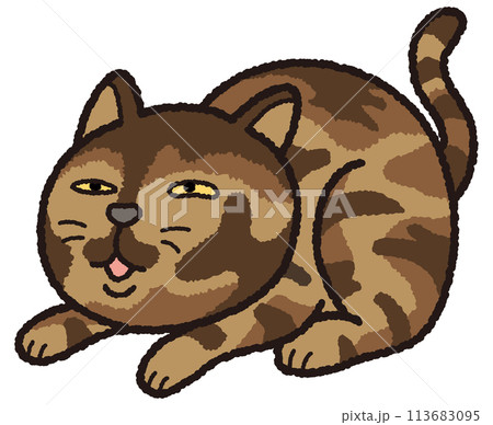 お座りするマルマルとしたサビ猫 113683095