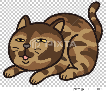 お座りするマルマルとしたサビ猫 113683095