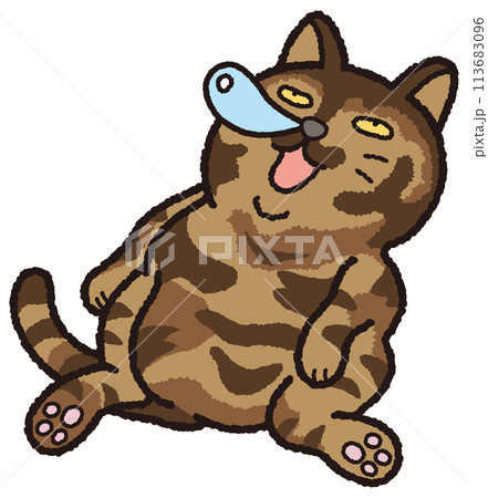 鼻ちょうちんを出しながらサビ猫が居眠りしています、 113683096