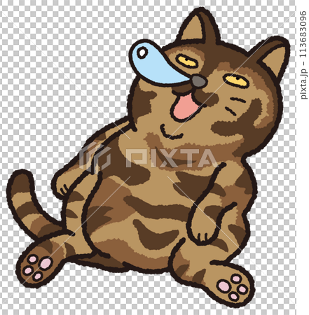 鼻ちょうちんを出しながらサビ猫が居眠りしています、 113683096