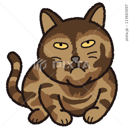 サビ猫が行儀良く丸まっています。 113683097