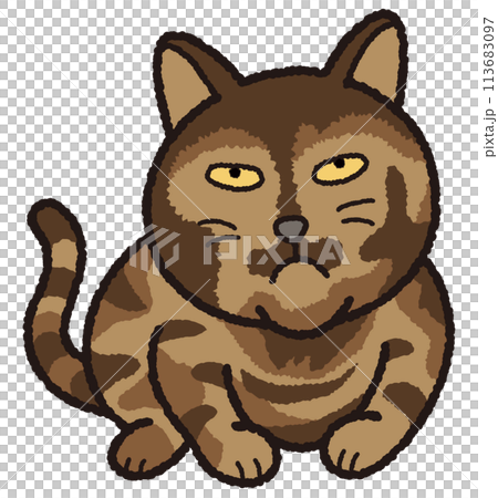 サビ猫が行儀良く丸まっています。 113683097