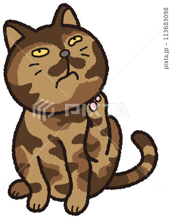 サビ猫が後ろ足で首を掻いています。 113683098