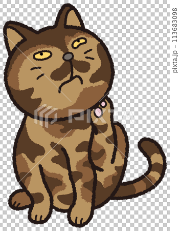 サビ猫が後ろ足で首を掻いています。 113683098