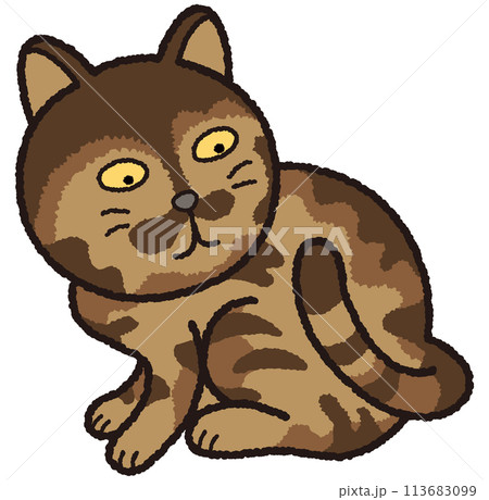 サビ猫が自分の尻尾を不思議そうに見ています。 113683099