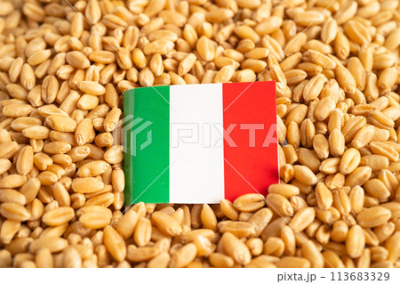 Grains wheat with Italy flag, trade export and economy. Grains wheat with Italy flag, trade export and economy. 113683329