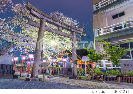 京都　六孫王神社　満開の夜桜 113684251