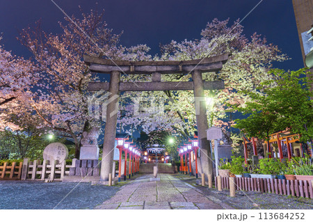 京都　六孫王神社　満開の夜桜 113684252