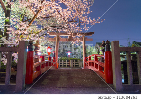 京都　六孫王神社　満開の夜桜 113684263