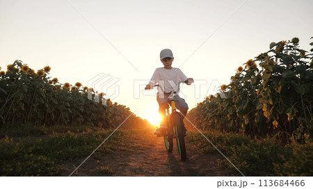 Active male kid child riding on bicycle at sunset road sunflower field enjoy happy childhood slowmo. Boy driving bike cycle at agricultural farming harvest flower plantation freedom outdoor leisure 113684466