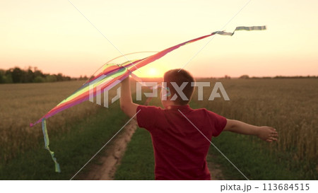 child kid boy runs joyfully, controlling flying kite whose ribbons flutter sunset, child kid holds bright sunset kite hands, moment childhood happily runs away launching dream into sky, child kid runs 113684515